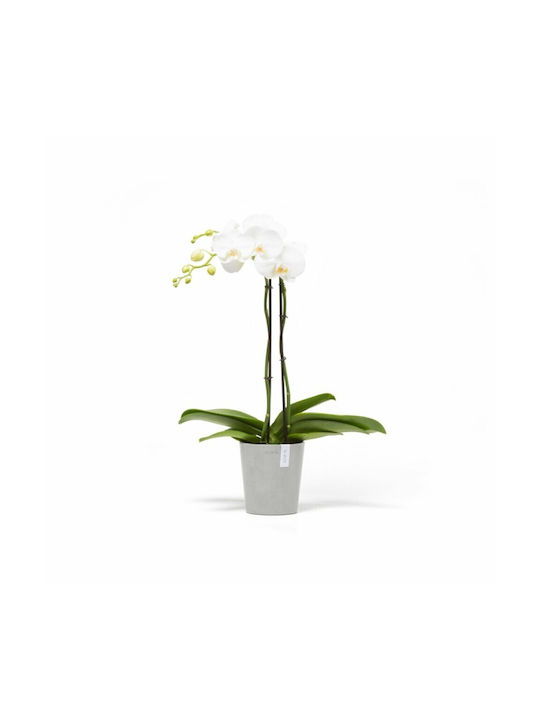 Ecopots Γλάστρα Πλαστική Γκρι Ecopots Γλάστρα Πλαστική Γκρι