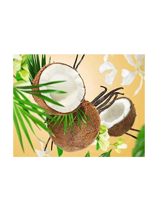 Maison Berger Paris Nachfüllpack für Raumduft mit Duft Kokosnuss 115362 500ml
