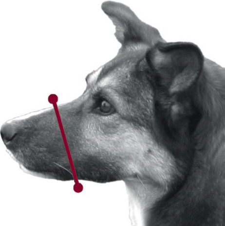 Trixie Пластмасов Черен Medium 20см