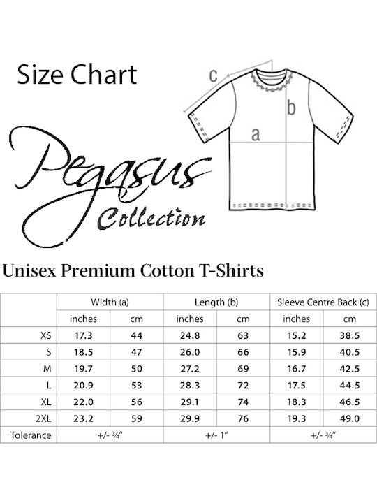 Pegasus Iron Maiden Printed Blouse Gray