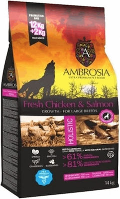 Ambrosia Large Chicken + Salmon 2kg Hrană Uscată fără Cereale pentru Cățeluși de Rase Mari cu Pui și Somon