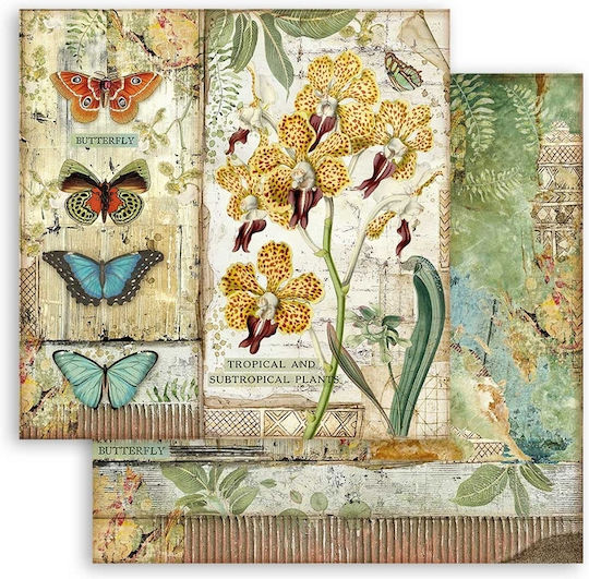 Stamperia Scrapbooking Față și spate 10buc