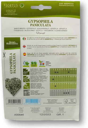 Hortus Sementi Semințe Gypsophila 2.5gr