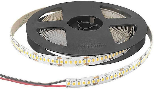 Cubalux LED Strip 24V Natural White Light 5m