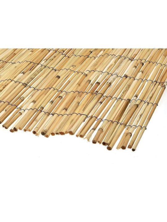 Viosarp Bamboo Fencing with Whole Reed 1x5m