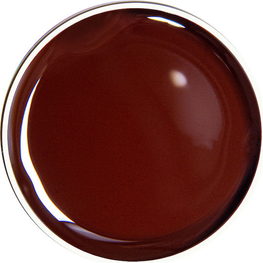 Alezori Nail Art Gel Brown 10gr