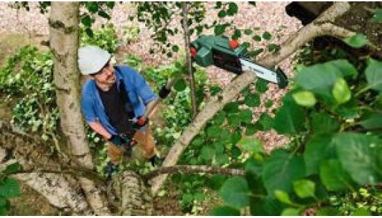 Bosch UniversalChainPole 18 Телескопично Клонорез На Батерия 18V Solo Обща Дължина 260см И Шина 20см