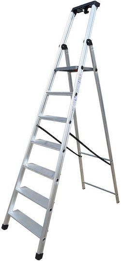 Profal Ladder Aluminum with 8+1 Steps 265cm