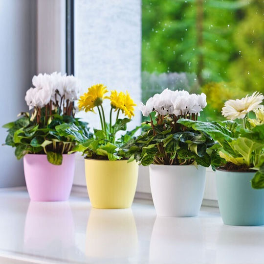 Don-Plast Pot Plastic Don-Plast Pot Plastic