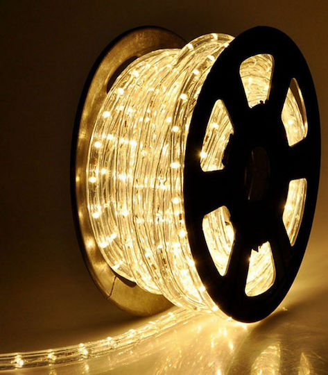 Christmas Light Tube Warm White Two-channel 220V Programmable 50m IP44