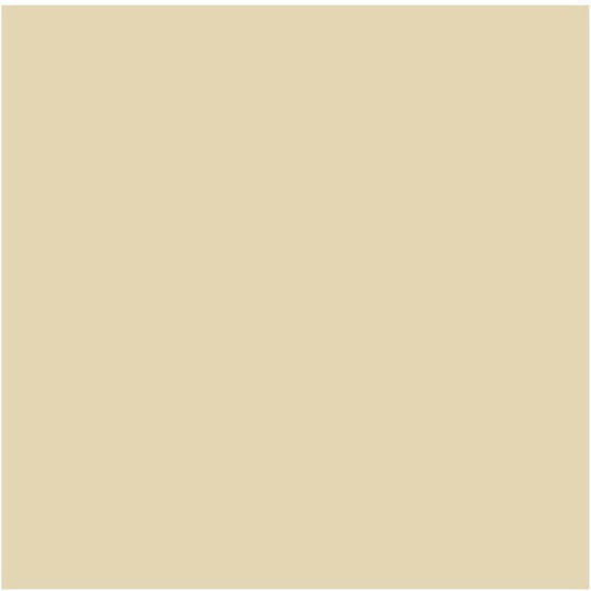 Royal Talens Cobra Study Oil Colour Beige 40ml 25052910