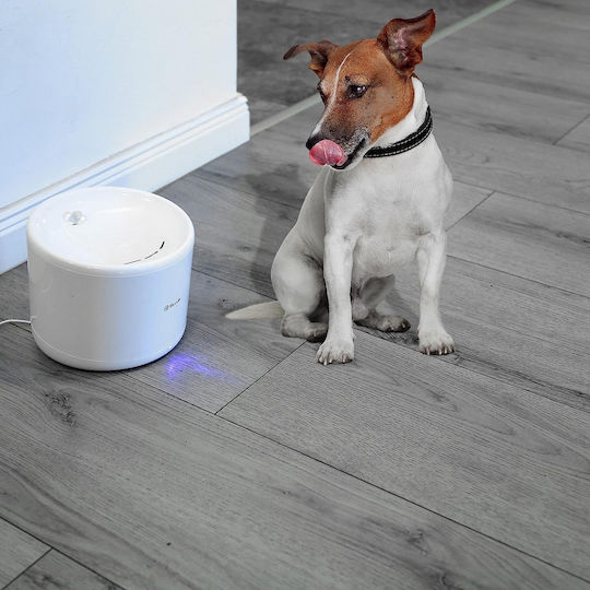 Tellur Automatisch Metallisch Wasserspender / Brunnen für Hund & Katze 2lt 16cm in Weiß Farbe