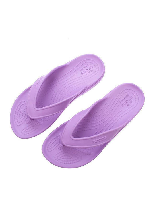 Classic II Flip Flip Flops in Purple Colour