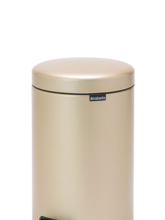 Brabantia NewIcon Inox Банята кошче 12лт Сребрист