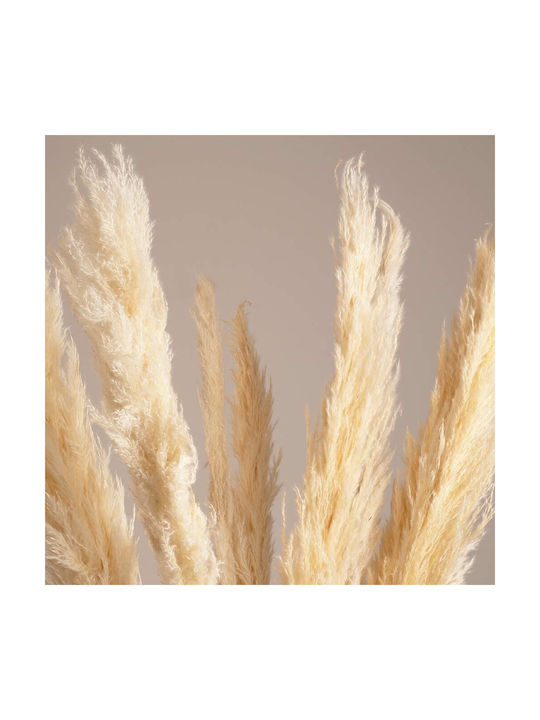 Artificial Decorative Branch Pampas Grass Beige 120cm 1pcs