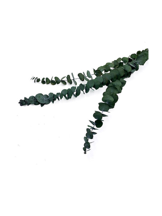 Artificial Decorative Branch Eucalyptus Green 60cm 3pcs