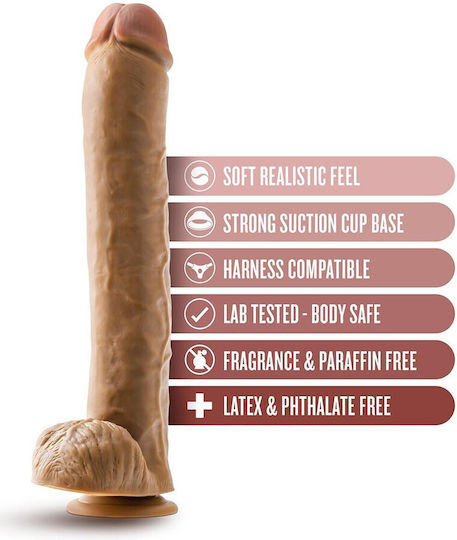 Dr. Skin Dr. Michael Realistic Dildo with Scrotum & Suction Cup Latin 36cm BL-26407