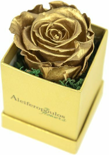RB12 Aleiferopoulos Flowers RB12 Aleiferopoulos Flowers