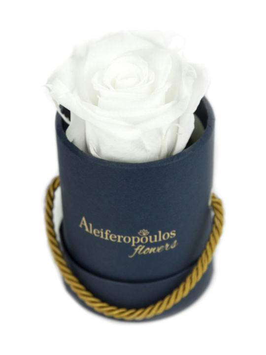 Aleiferopoulos Flowers Ewige Rose Weiß in Box 1Stück