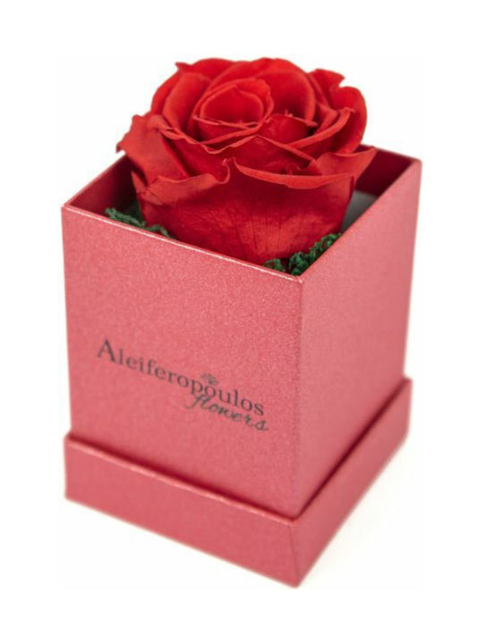 Aleiferopoulos Flowers Eternal Rose Red in Box 1pcs