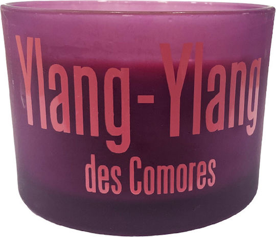 Gala Αρωματικό σε Βάζο Ylang Ylang