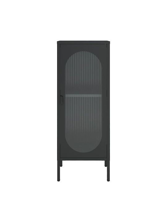 Floor-standing Living Room Display Cabinet made of Metal with Glass Black 40x35x105cm