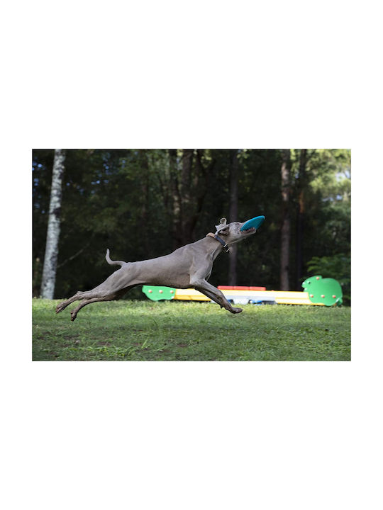 Waboba Frisbee Dog made of Rubber 21εκ. Blue 1pcs