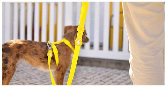 Dashi Dog Leash/Lead Strap in Yellow color