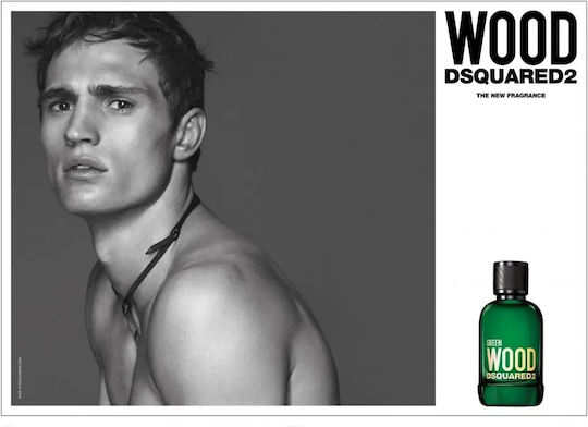 Dsquared2 Green Wood Eau de Toilette 30ml