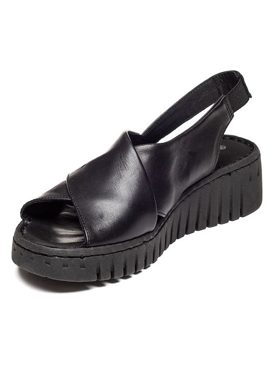 Air Anesis