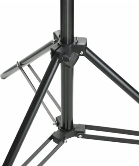 vidaXL Fotostudio Set Lichter Hintergrund Beleuchtungsset für Studio