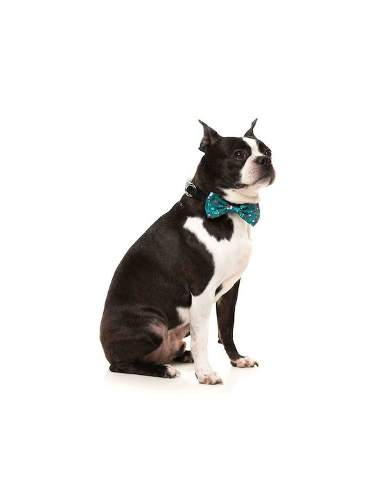 Fuzzyard Petrol Blue Dog Bow tie 13cm