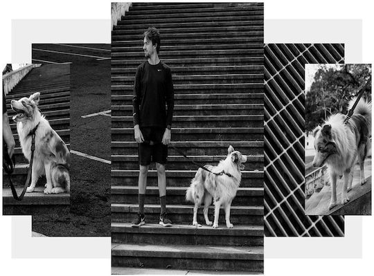Zee-Dog Λουρί/Οδηγός Σκύλου Ιμάντας Gotham σε Μαύρο χρώμα 1.2m x 1cm