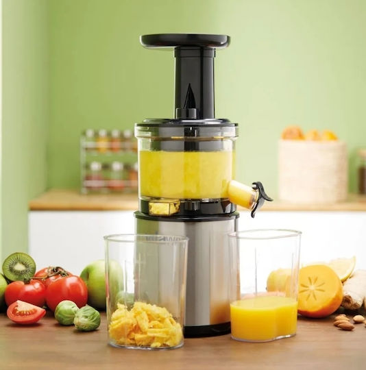 Gorenje JC4800VWY Storcător De Fructe Cu Presare Lentă 200W Inox Gri