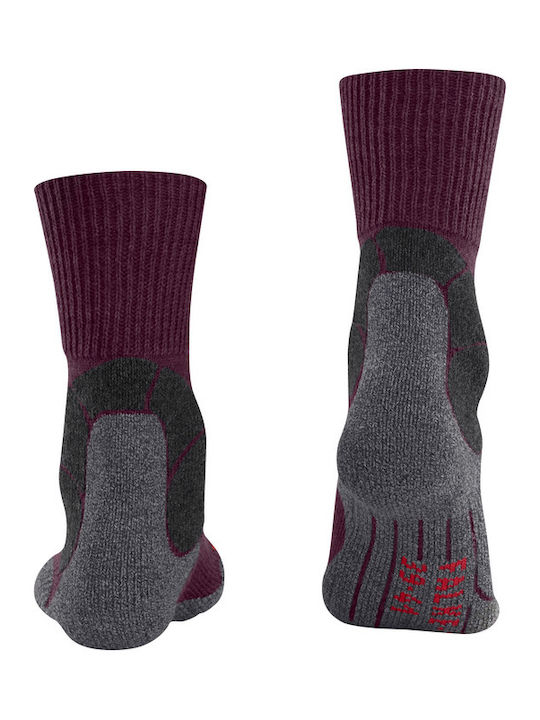 Falke Femei Șosete Uni Violet 1Pachet