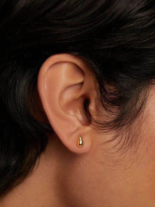 P D Paola Earrings made of Silver Gold Plated with Stones
