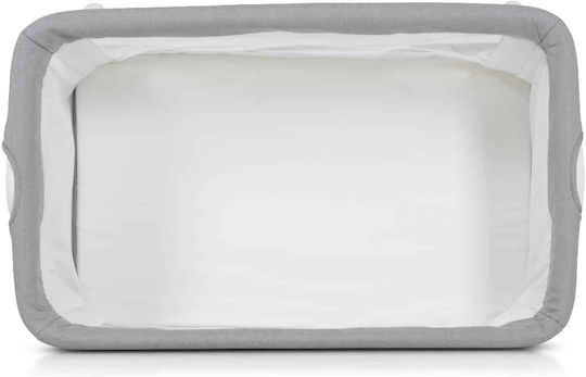 Moni Wiege Gray