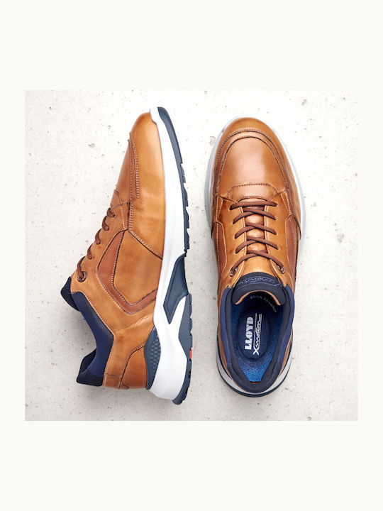 Sneakers Brown