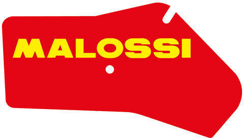 Malossi Filtru de aer pentru motociclete