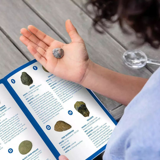 Educational Insights Κιτ Ανασκαφής Απολιθωμάτων STEM Joc Educațional Excavare de dinozauri pentru 3+ ani Ani