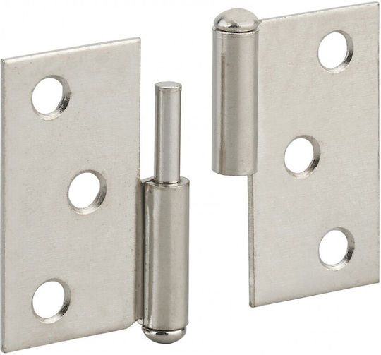 Thirard Stainless Steel Door Hinge