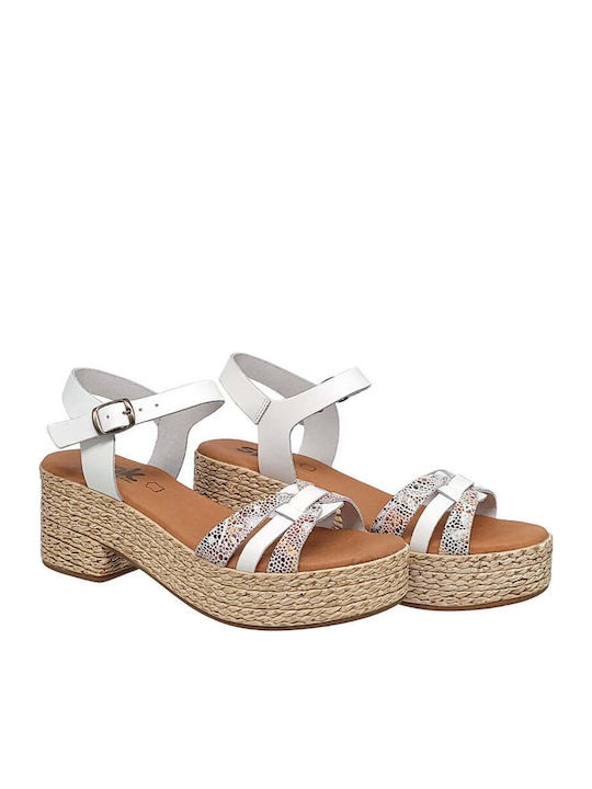 SPK Shoes