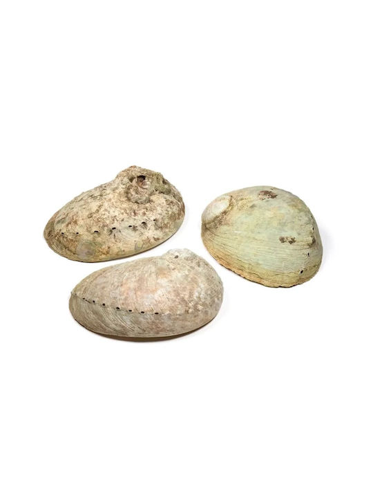 Bază pentru Bețișoare de Tămâie 64498 180gr