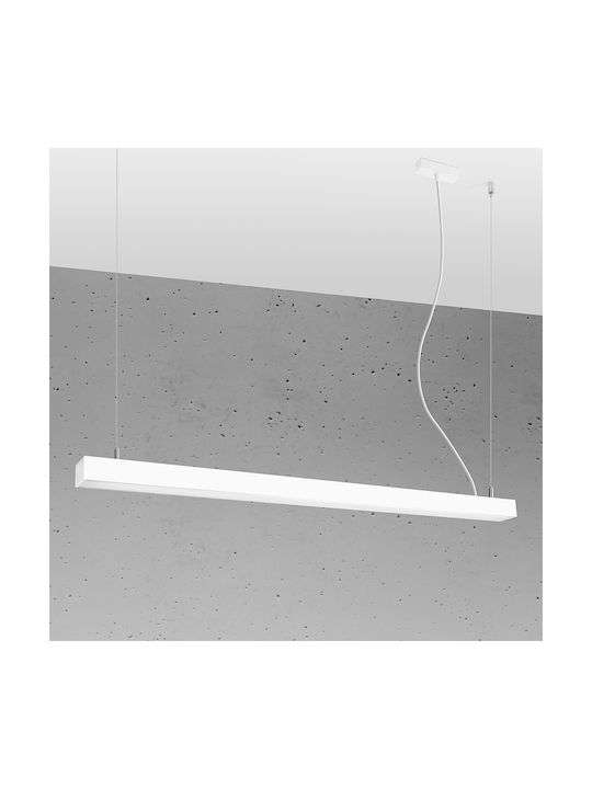 Sollux PINNE 117 Pendant Light LED Rail White