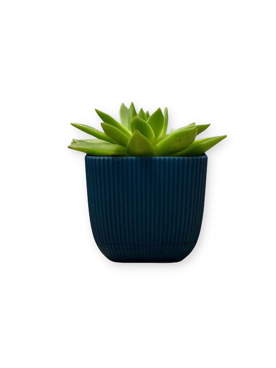 Viosarp Coral Γλάστρα Πλαστική Μπεζ 15x15x13εκ.
