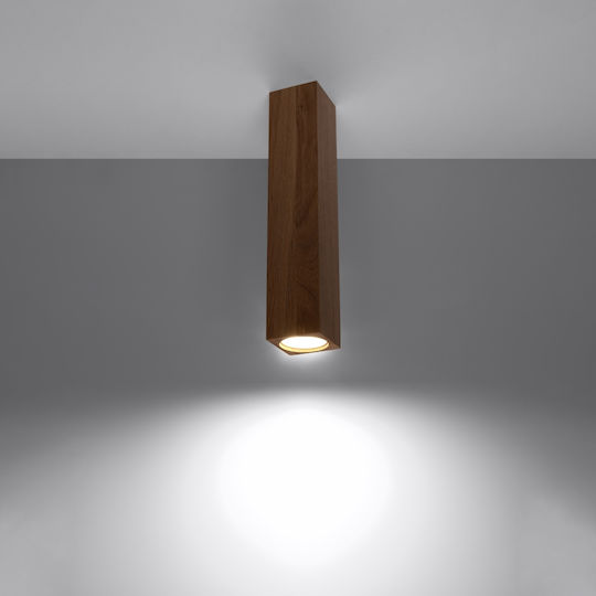 Sollux Keke Single Spot with Socket GU10 in Brown Color