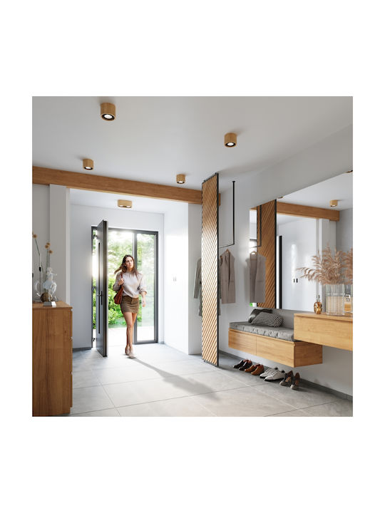 Sollux Basic 2 Double Spot with Socket GU10 in Brown Color