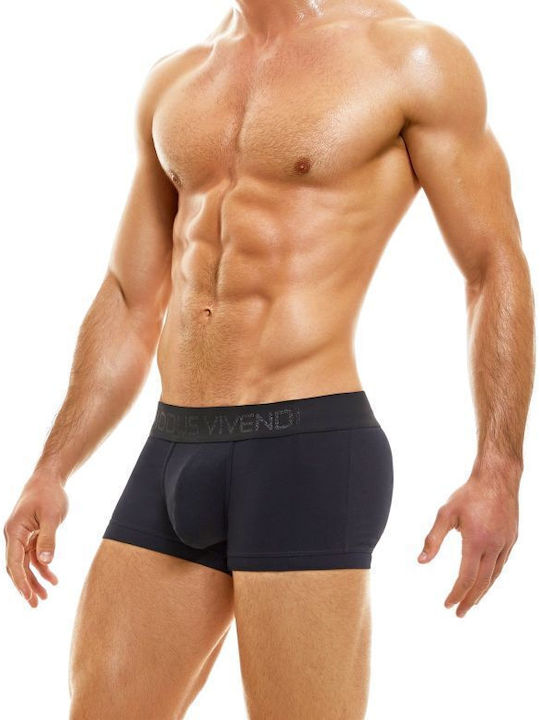 Modus Vivendi Modus Vivendi