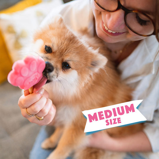Smoofl Pastry Molds Silicone for Dog in Pink Color