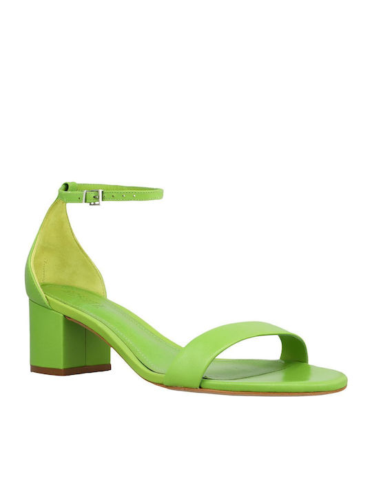 Schutz
